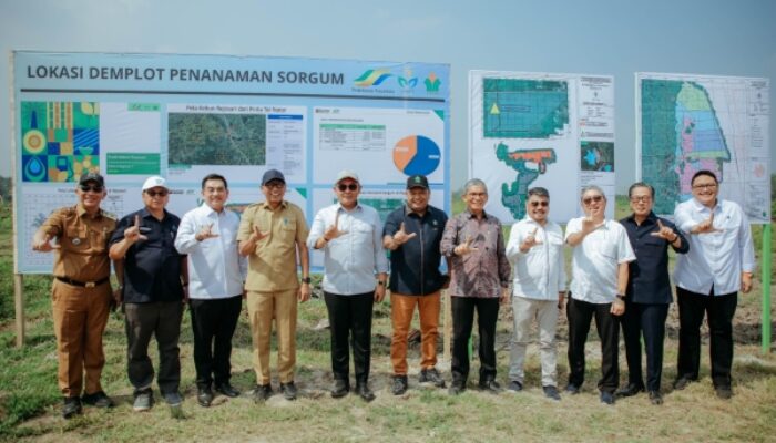 Wamen Investasi dan Gubernur Lampung Tinjau Calon Lokasi Industri Bioetanol Berbasis Sorgum