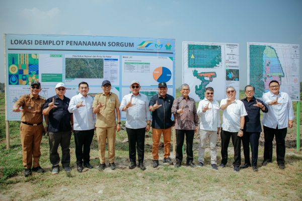Wamen Investasi dan Gubernur Lampung Tinjau Calon Lokasi Industri Bioetanol Berbasis Sorgum