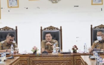 Perkuat Tata Kelola Perizinan dan PAD, Pemkab Pesisir Barat Siapkan Langkah Strategis