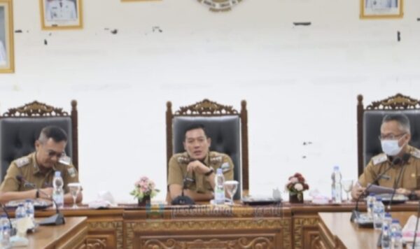 Perkuat Tata Kelola Perizinan dan PAD, Pemkab Pesisir Barat Siapkan Langkah Strategis