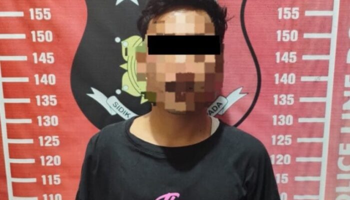Satreskrim Polres Pesisir Barat Ungkap Dugaan Kasus Kekerasan Seksual, Seorang Pria Diamankan